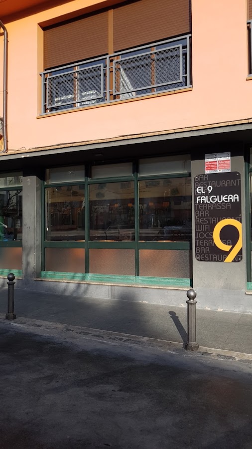 9 Falguera