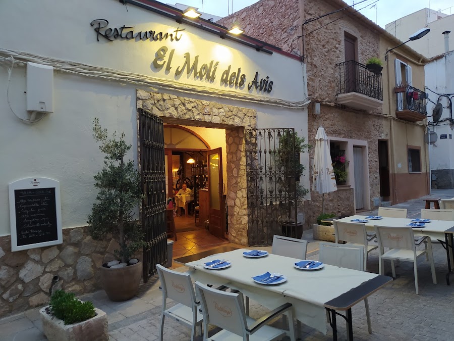EL MOLÍ DELS AVIS